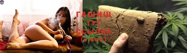 стаф Гусь-Хрустальный