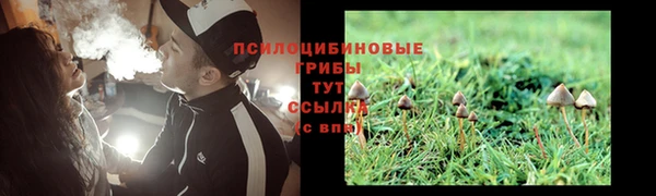 MESCALINE Гусев