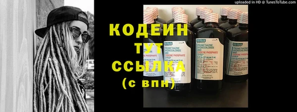 стаф Гусь-Хрустальный