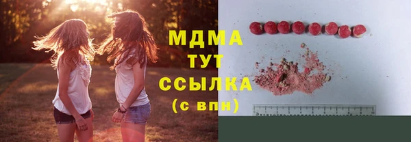 стаф Гусь-Хрустальный