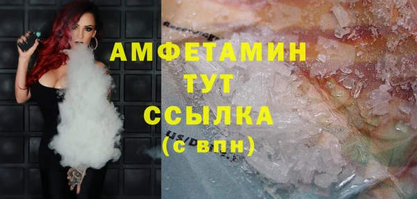 стаф Гусь-Хрустальный