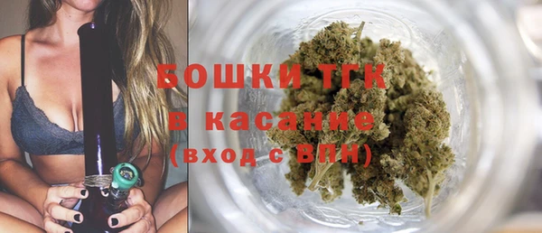 стаф Гусь-Хрустальный